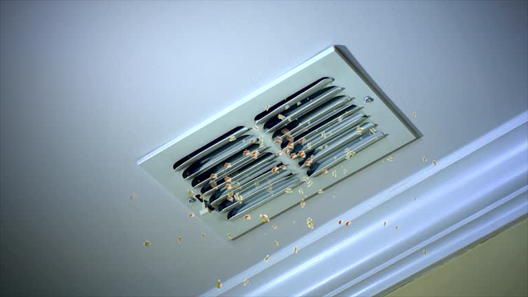 Best Dryer Vent Cleaning Services  in Lake Wilderness, VA